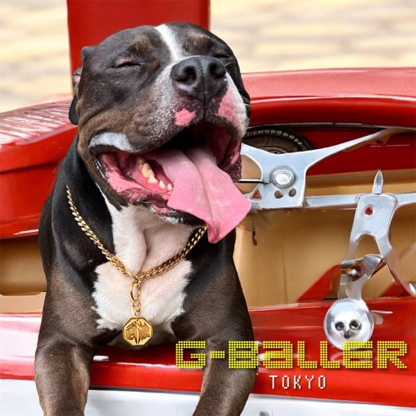 画像7: 犬用 首輪 チェーン ネックレスペンダント "太尊" 八角 喧嘩札 オーダーメイド 特注 シルバー 18金 コーティング オーダーメイド製作