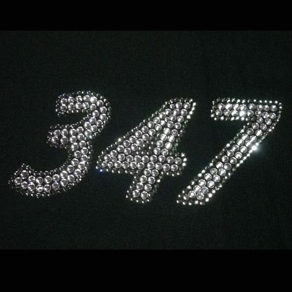 画像3: スワロオーダー　パーカー　製作　フード　ライン製作 フルオーダー