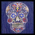 Mexican Skull スワロアート 絵画
